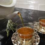 Greek mountain tea (τσάι του βουνού)